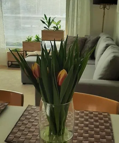 Apartamento Pikiruukin Helmi Kokkola (Karleby)